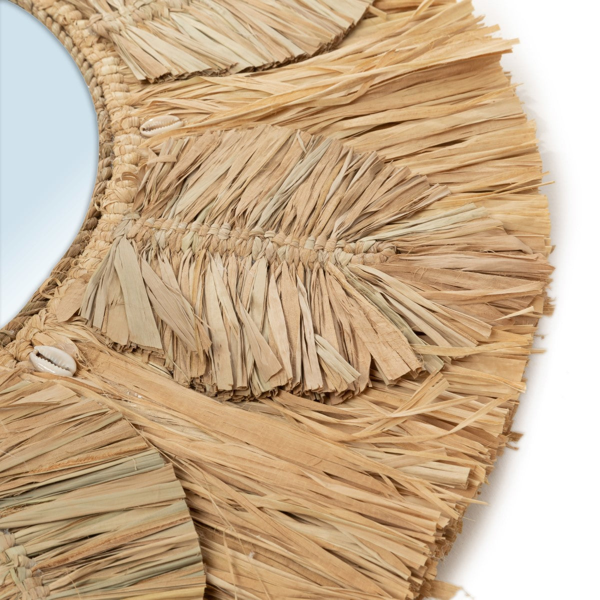 Peegel Palm Tree