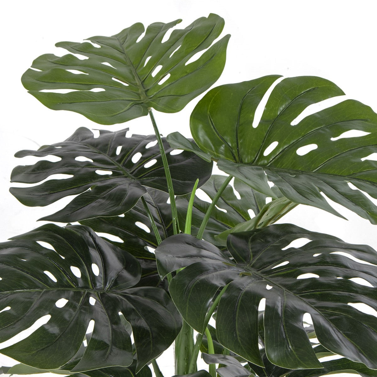 Kunsttaim Monstera