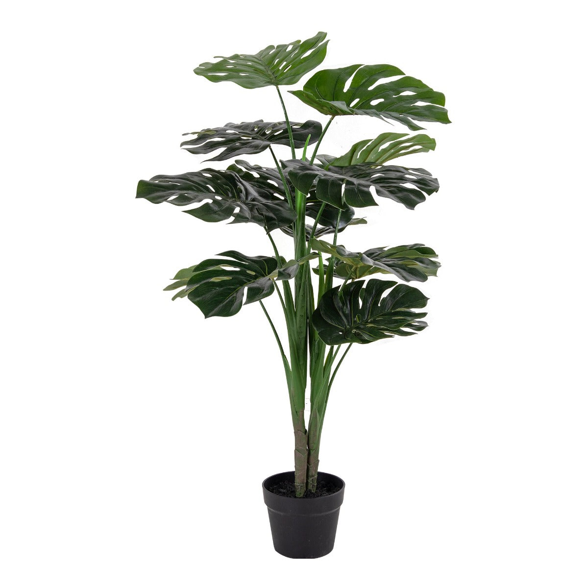 Kunsttaim Monstera
