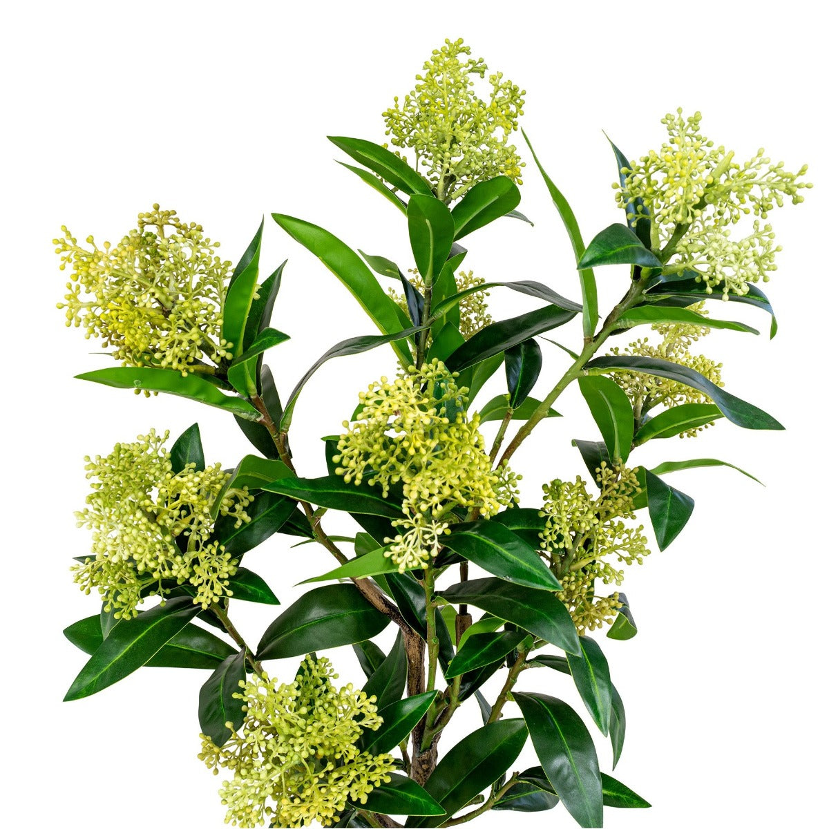 Kunsttaim Skimmia puu