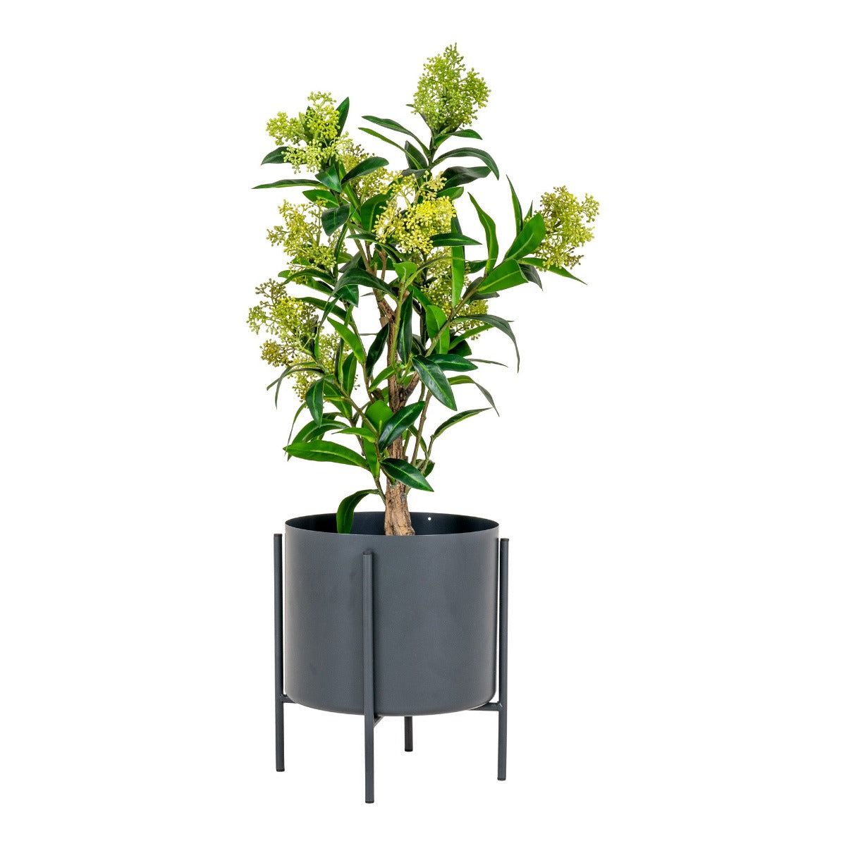 Kunsttaim Skimmia puu