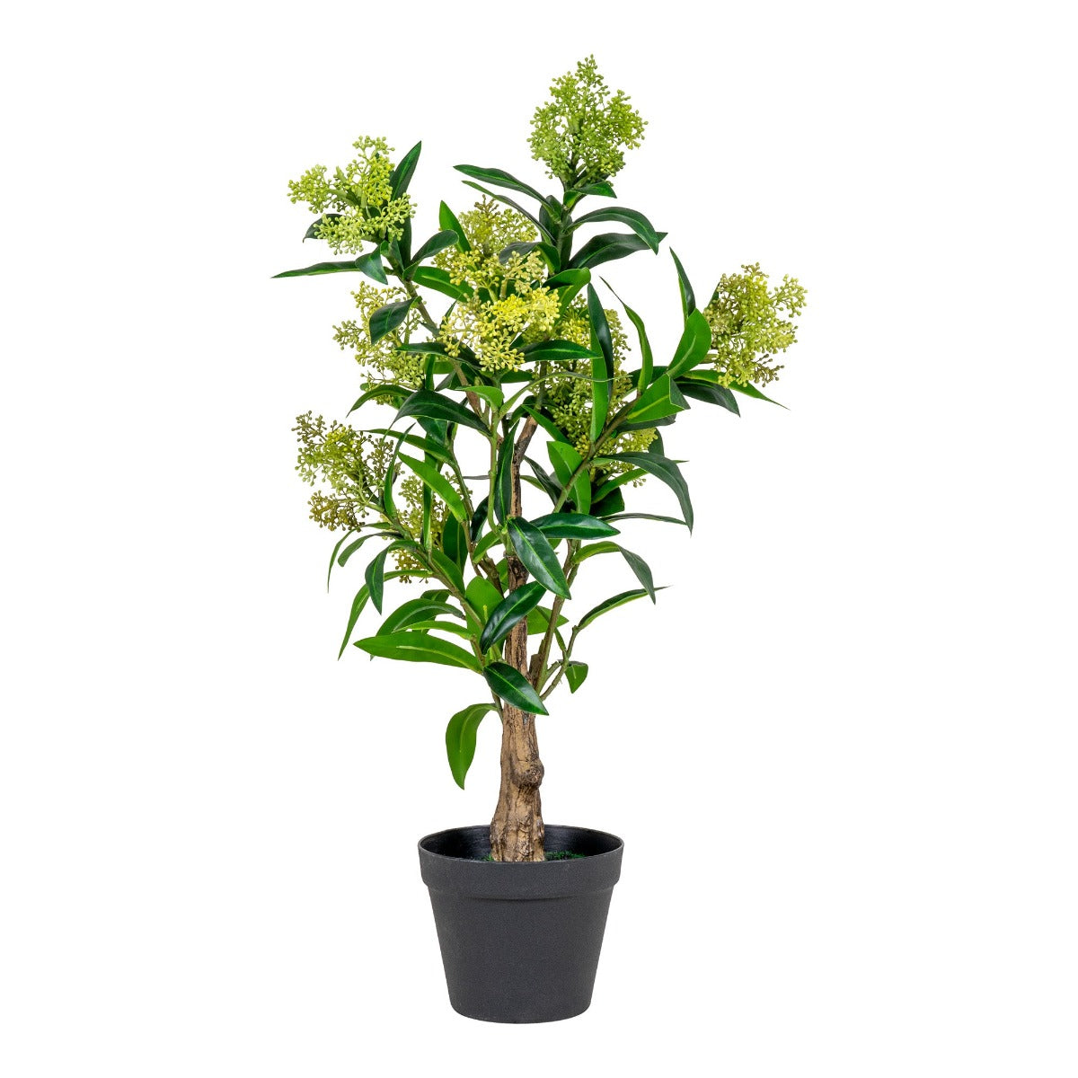 Kunsttaim Skimmia puu