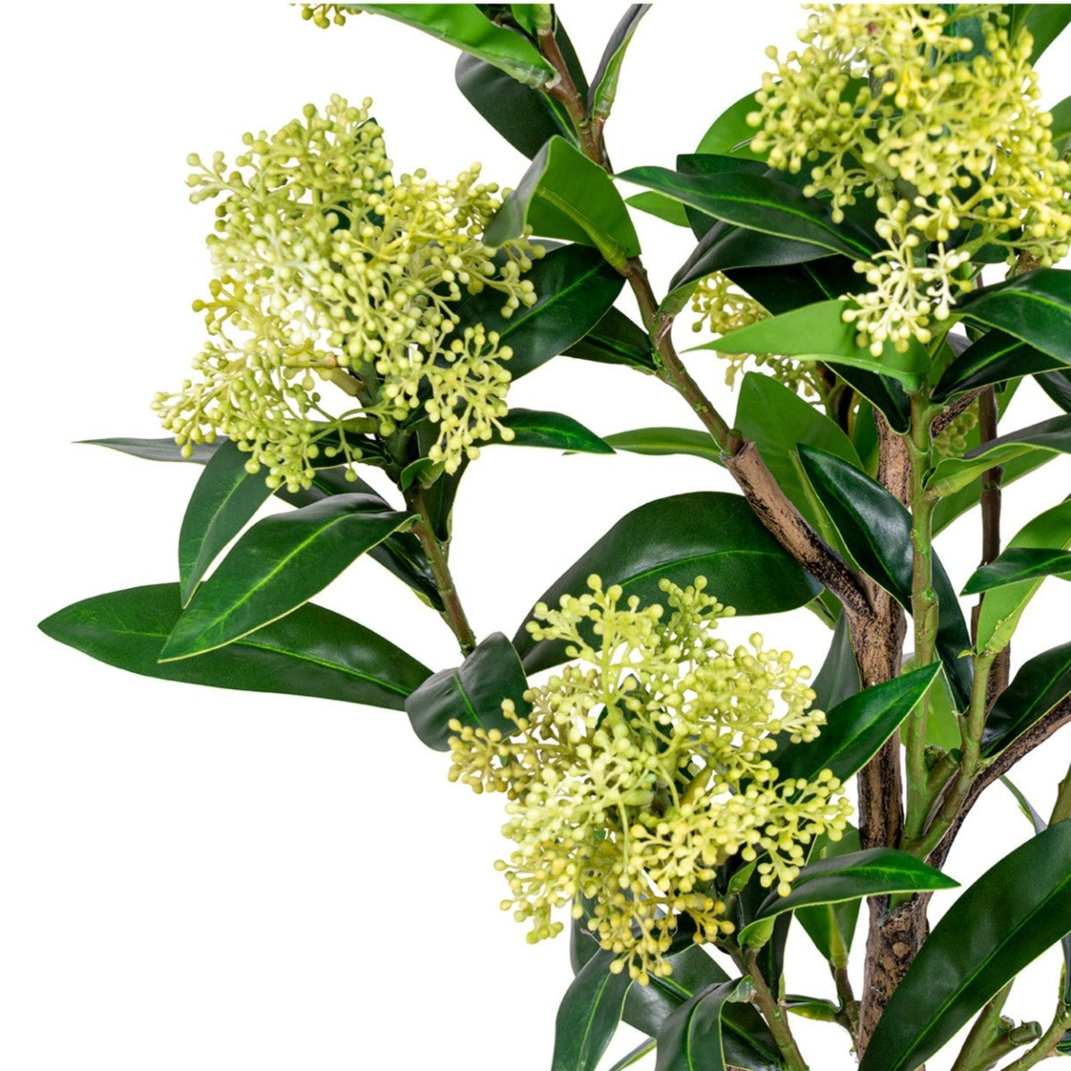 Kunsttaim Skimmia puu