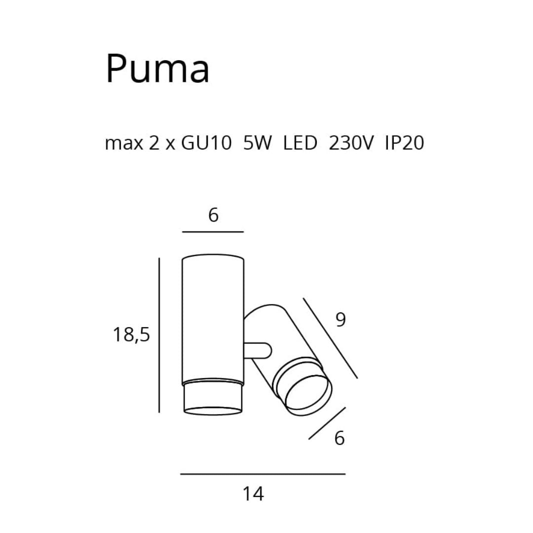 Kohtvalgusti Puma 2